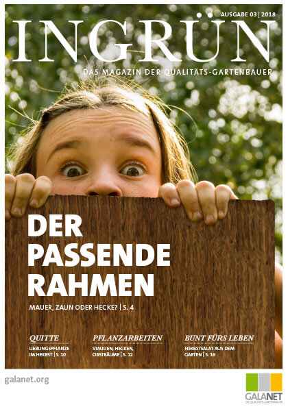 INGRÜN 03/2018
