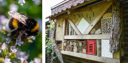 Insektenhotel und Biene im Garten als Beitrag zur Artenvielfalt im nachhaltigen Garten