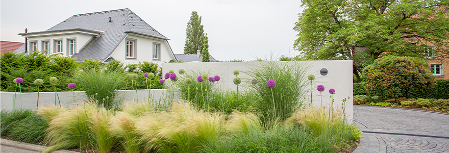 Moderne Einfahrt mit Ziergräsern, Allium und weißer Mauer vor Wohnhaus