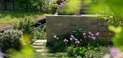 Garten mit Natursteinmauer, Stufen und blühenden Stauden als Gestaltungselemente.