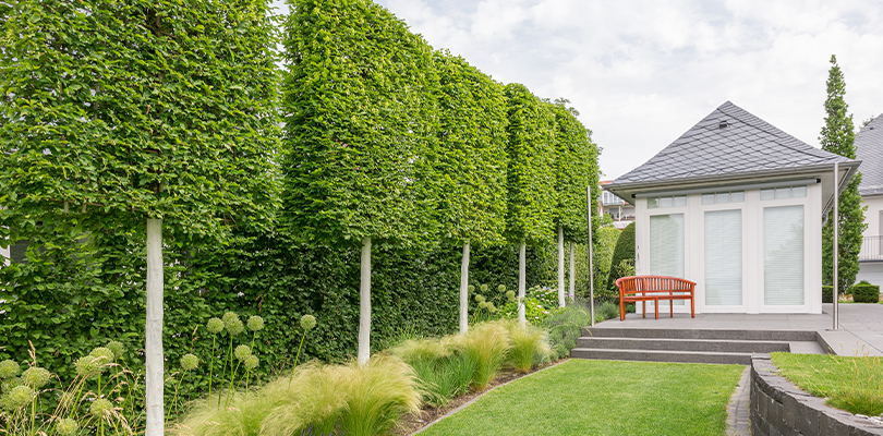 Professionell gepflegter Garten mit geschnittener Hecke und strukturierter Bepflanzung