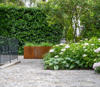 Hecke und Bepflanzung