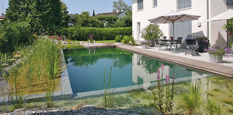Schwimmteich mit Regenerationszone und bepflanzter Uferzone neben Terrasse am Haus